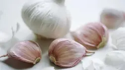 Orrfacsaró szagú növényből készítettek szájvizet a kutatók