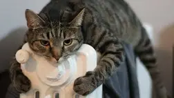 Fűtés. Illusztráció. Fotó: Internet