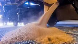 Ukrán gabonaexport. Illusztráció