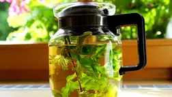 Ez a 8 legjobb gyógytea, ha orrfolyással és köhögéssel küzdesz