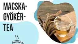 A dietetikus szerint ezt a két teát idd este a nyugodtabb alvásért