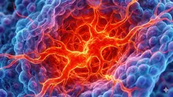 A magyarok konyhájában is ott rejtőzhet a gyulladás ellenszere