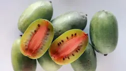 Alig ismerik, pedig a tüdőrák ellenszere lehet ez a gyümölcs