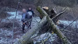 A rendőrség vizsgálja egy 8 éves kislány halálát, akire fa dőlt a Munkácsi járás egyik településén. Fotó: Ukrán Nemzeti Rendőrség