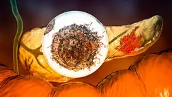 Erre várt az orvostudomány? Végre kiderült, hogyan állítható meg a legkegyetlenebb betegség