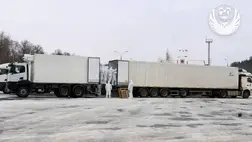 Újabb 1000 elesett katona földi maradványait hozták vissza Ukrajnába. Fotó: A hadifoglyokkal való bánásmód kérdéseivel foglalkozó Koordinációs Törzs