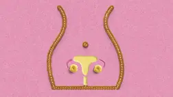 Így változik a hüvely az életkorral – forma, illat, ruganyosság