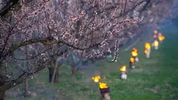 Jönnek a fagyos hajnalok - Sokféleképpen készülnek a gazdák