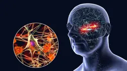 Döbbenetes dolog derült ki a K-vitaminról