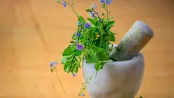 A leghatékonyabb gyógynövények megfázás és köhögés ellen