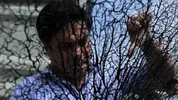 Egy 400 éves korall még a tengerbiológusokat is megdöbbentette