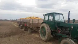 Végéhez közelednek a betakarítási munkálatok - Tart a kegyelmi időszak