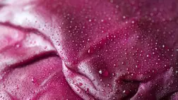 Felejtsd el a méregdrága vitaminokat! Ezek a zöldségek védhetnek meg a rettegett betegségtől