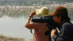 Kiderült, melyik hobbi védi leginkább az agyat