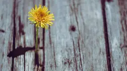 Meglepetés új kezdetek. Illusztráció. Fotó: unsplash