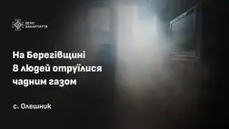 Szén-monoxid-mérgezést szenvedett egy nyolcfős család a Beregszászi járásban. Fotó: DSZNSZ