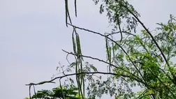 Megvan a módszer, így szabadulhatunk meg a mikroműanyagoktól