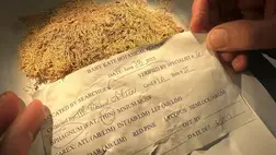 Mohák segíthetnek felderíteni a bűneseteket