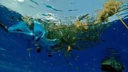 Műanyagszennyezés: a modern kor láthatatlan járványa