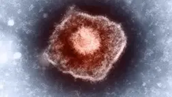 Egy szúrás megvédhet az infarktus és a stroke ellen