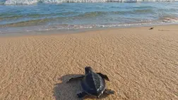 Az 1% ereje. Illusztráció. Fotó: Pexels