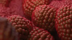 Rájöhettek, miért van egyre több prosztatarákos