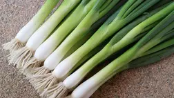 A legkorábbi hajtatott vitaminforrásunk (1.)