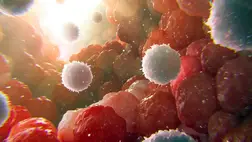 Hihetetlen: ezzel a módszerrel megjósolható, rákosak leszünk-e