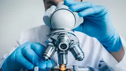 Kutatás ( Illusztráció )