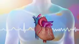 Nem kell műtét? Egyetlen injekció segítheti a szív gyógyulását