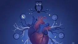 Éjszakai bagoly? Jelentős veszély fenyegeti a szívét