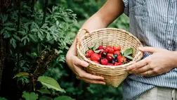 7 tavaszi íz, ami természetesen energiát ad a testednek