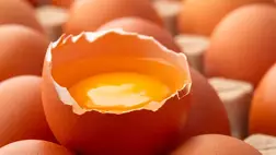 Ez történik a szervezeteddel, ha minden nap megeszel egy tojást