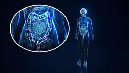 Botrány: ártalmatlannak hitt vegyületekkel mérgeznek minket