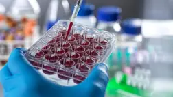 Hatalmas a baj, ha ezt kimutatják a vérében