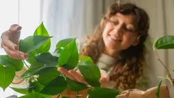 Ebből az 5 szobanövényből legalább egyet muszáj beszerezni