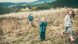 Ez a 3 őszi vitamin hiánya okozhatja, ha állandóan fáradtnak érzed magad