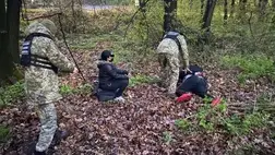 Újabb migránsokat fogtak el a határőrök Kárpátalján