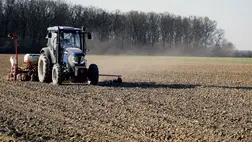 Egy hektárnyi föld átlagos értéke például Beregvidéken 27-28 ezer hrivnya között mozog. Ilyenek az árak a megye más vidékein is. 