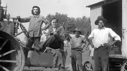 Csegavara, Torgyán, Dzsombé és a többiek. Molnár-Kovács Dorottya illusztrációja