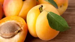 A sárgabarack ezért egészséges