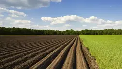 Ez év július 1-től elindult az a folyamat, mely fokozatosan feloldja a termőföldek adásvételére vonatkozó moratóriumot.