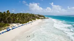 Ennek az országnak lesz először a világon virtuális nagykövetsége