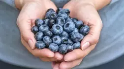 A legjobb agyserkentő ételek