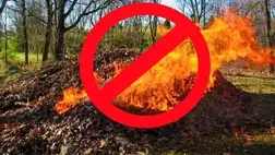 Illegális avarégetés Beregszászban