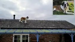 Hatvankilós bernáthegyi mászott a háztetőre