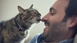 Miért nyalogatják a macskák a gazdájukat?