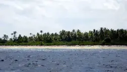 Eltöröltek egy természetvédelmi területet