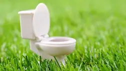 A vizeletünk erről árulkodik