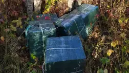 Csempészkísérletet akadályoztak meg Kárpátalján